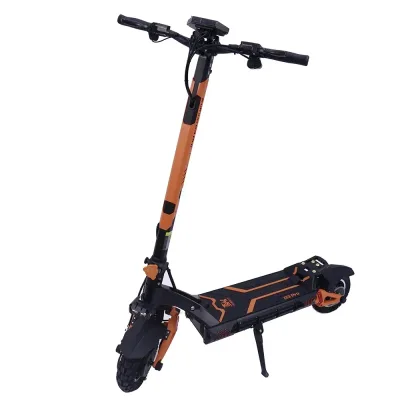 Trottinette électrique pliable, pneus de 25,5 cm