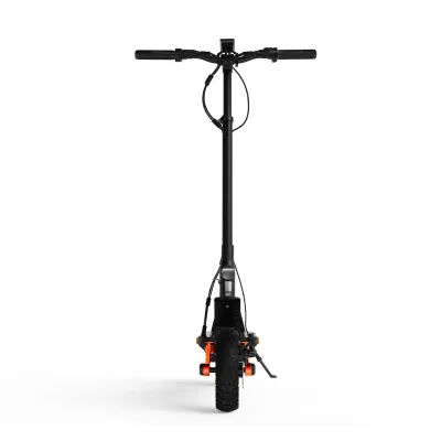Trottinette électrique pliante S5 250 W – image 2